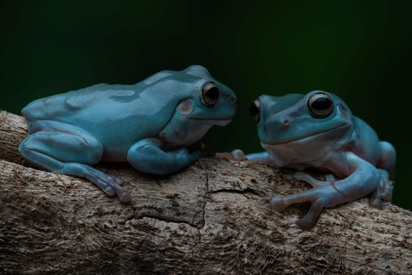 Astuces pour marier des couleurs pastel avec des tons néon sans faute de goût